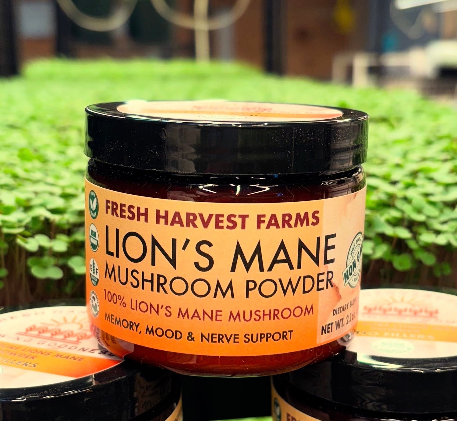 Organic Mushroom & Microgreens Powders