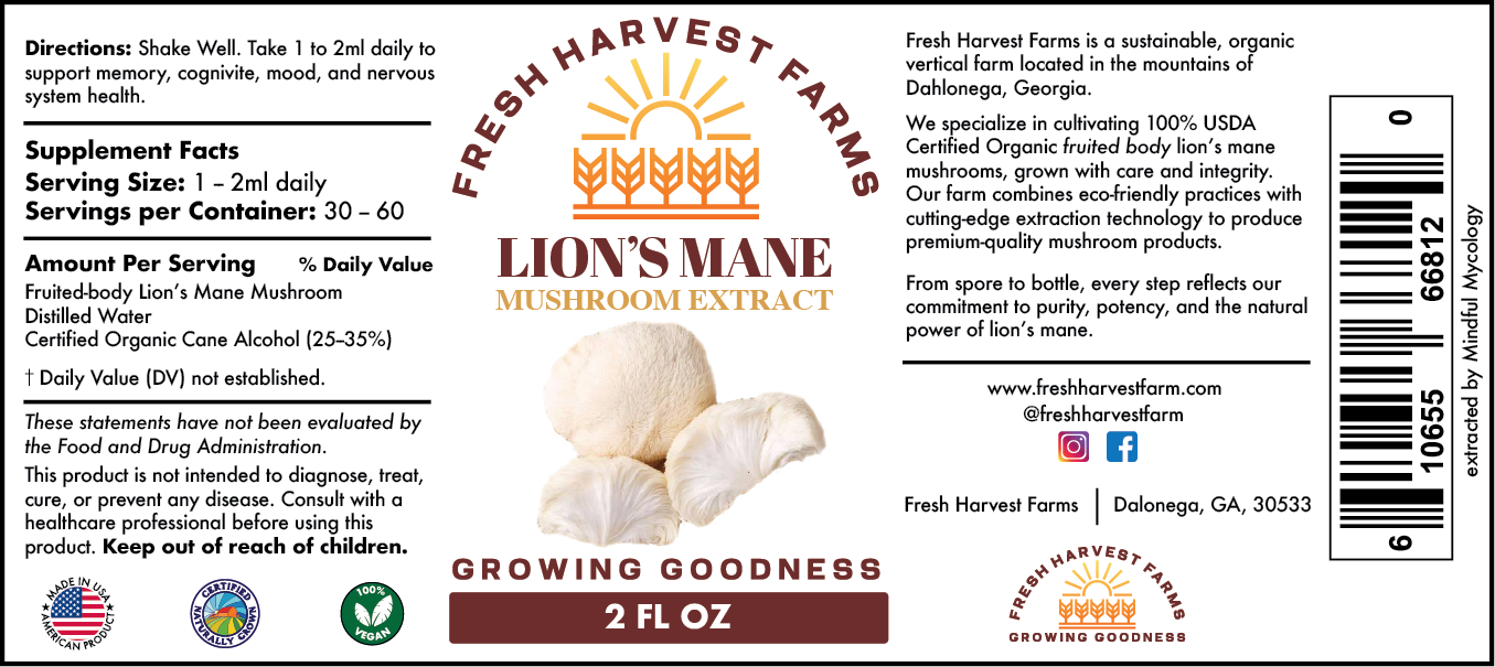 Lion's Mane Mushroom Tincture