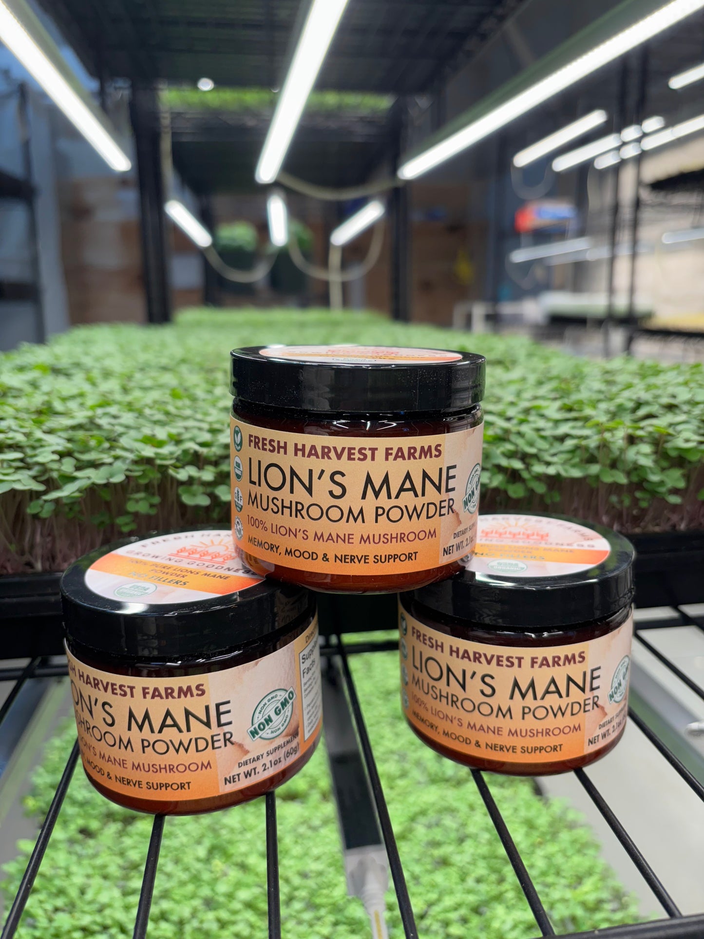 lions mane powder jars  in grow farm
