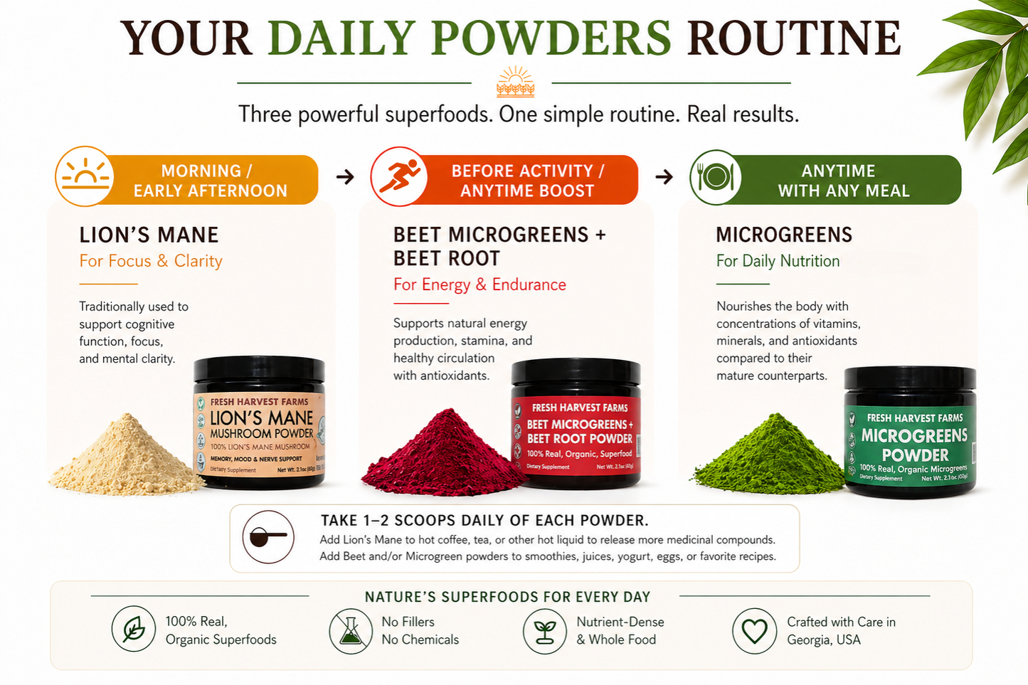 powders routine bundle