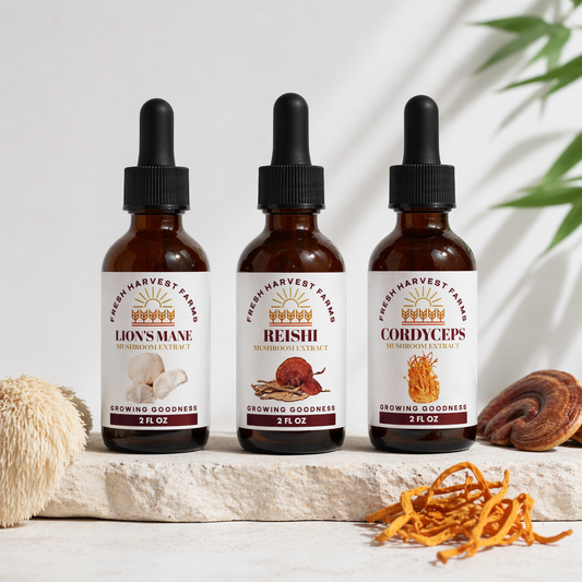 three mushroom extract tinctures bundle