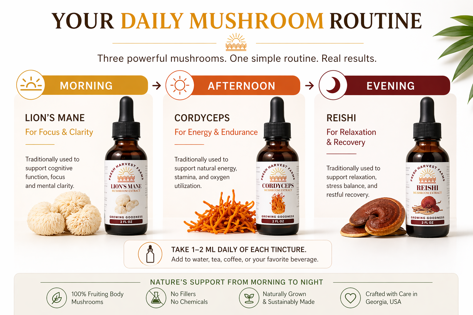 tincture bundle routine